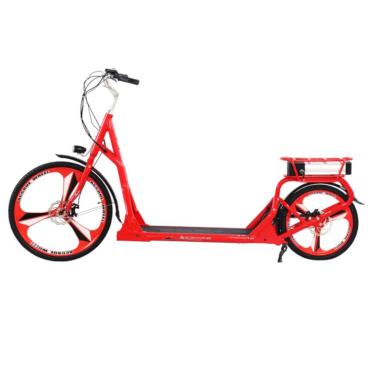 Treadmill Walking Bike FLFA-001